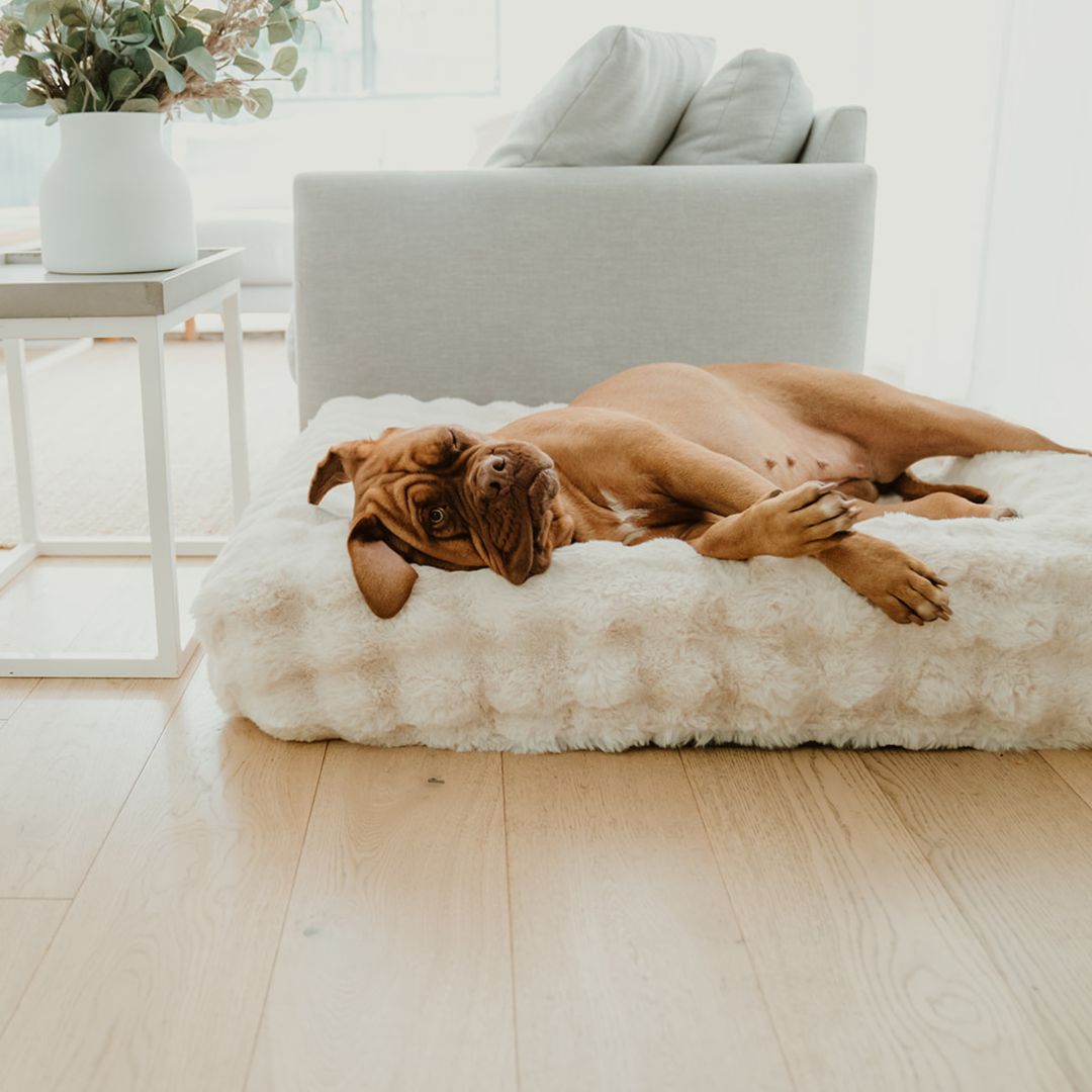 Luxurious faux fur dog bed covers – soft stylish – The Coverly