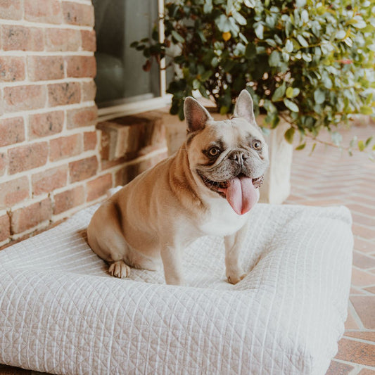 Linen Cotton Quilted Covers