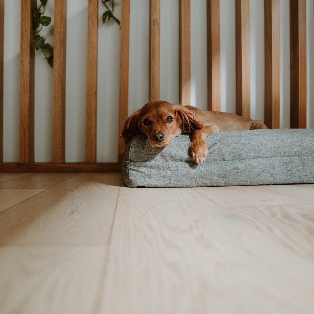 The Coverly Orthopaedic Bed