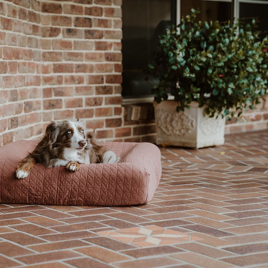 Cotton Quilted Covers