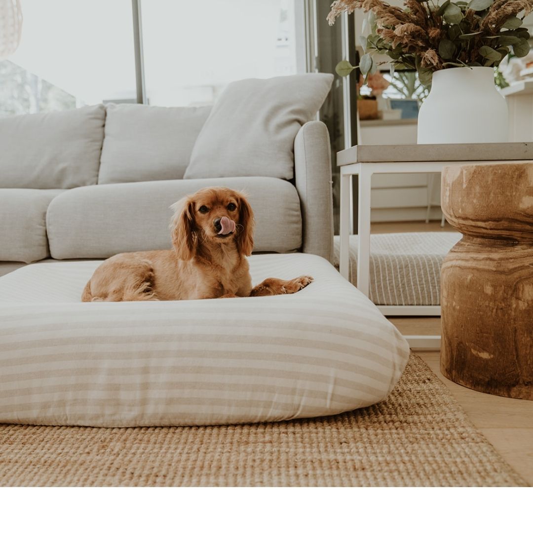 Stripe Cotton Linen Cover