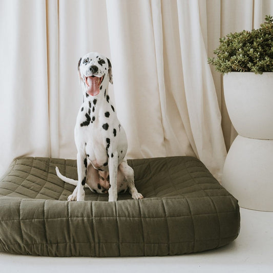 NEW: Maxi Quilted Cover