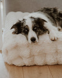 Fur covers
