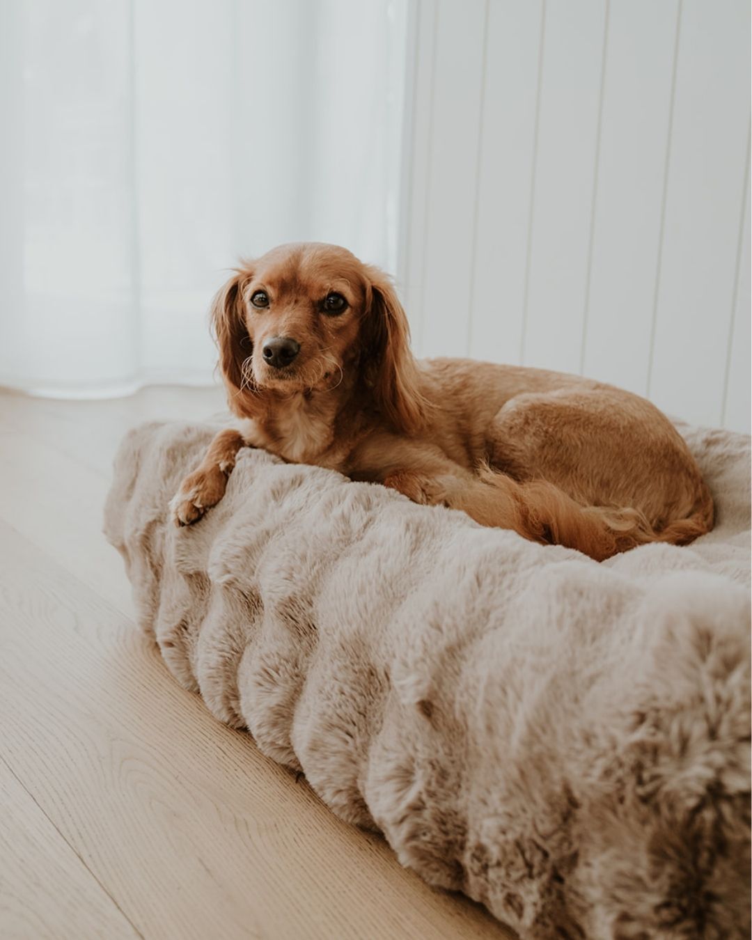 Fur covers
