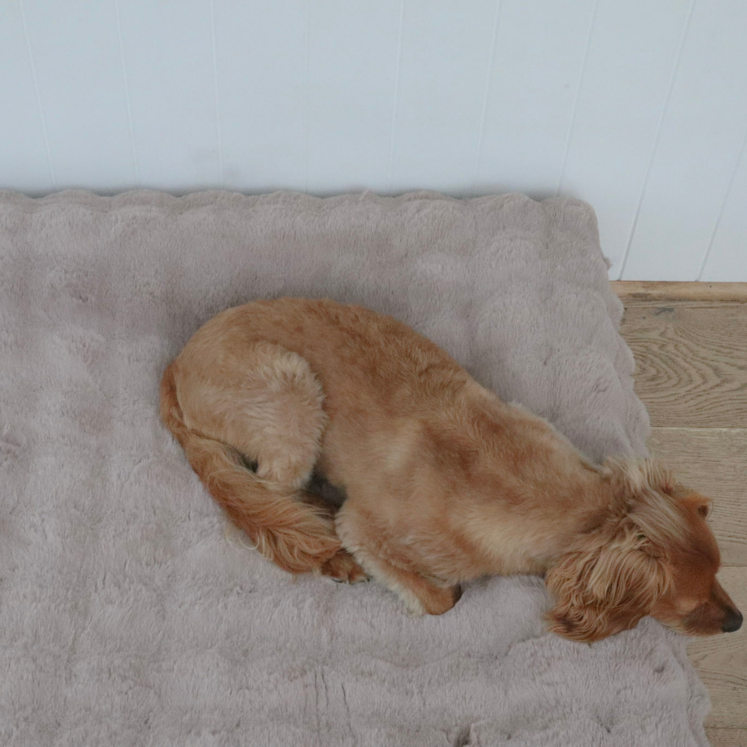 Faux fur dog bed cover
