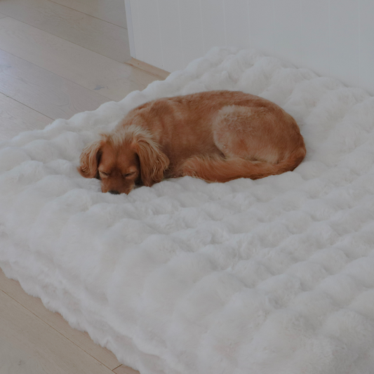 Faux fur dog bed cover