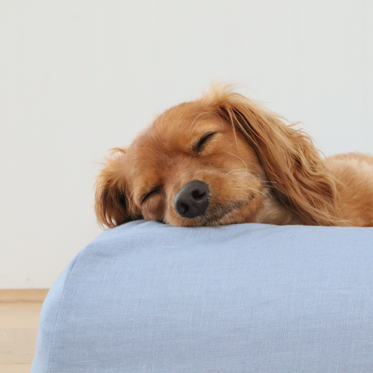 Linen dog bed cover