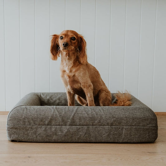 The Coverly Orthopaedic Bed