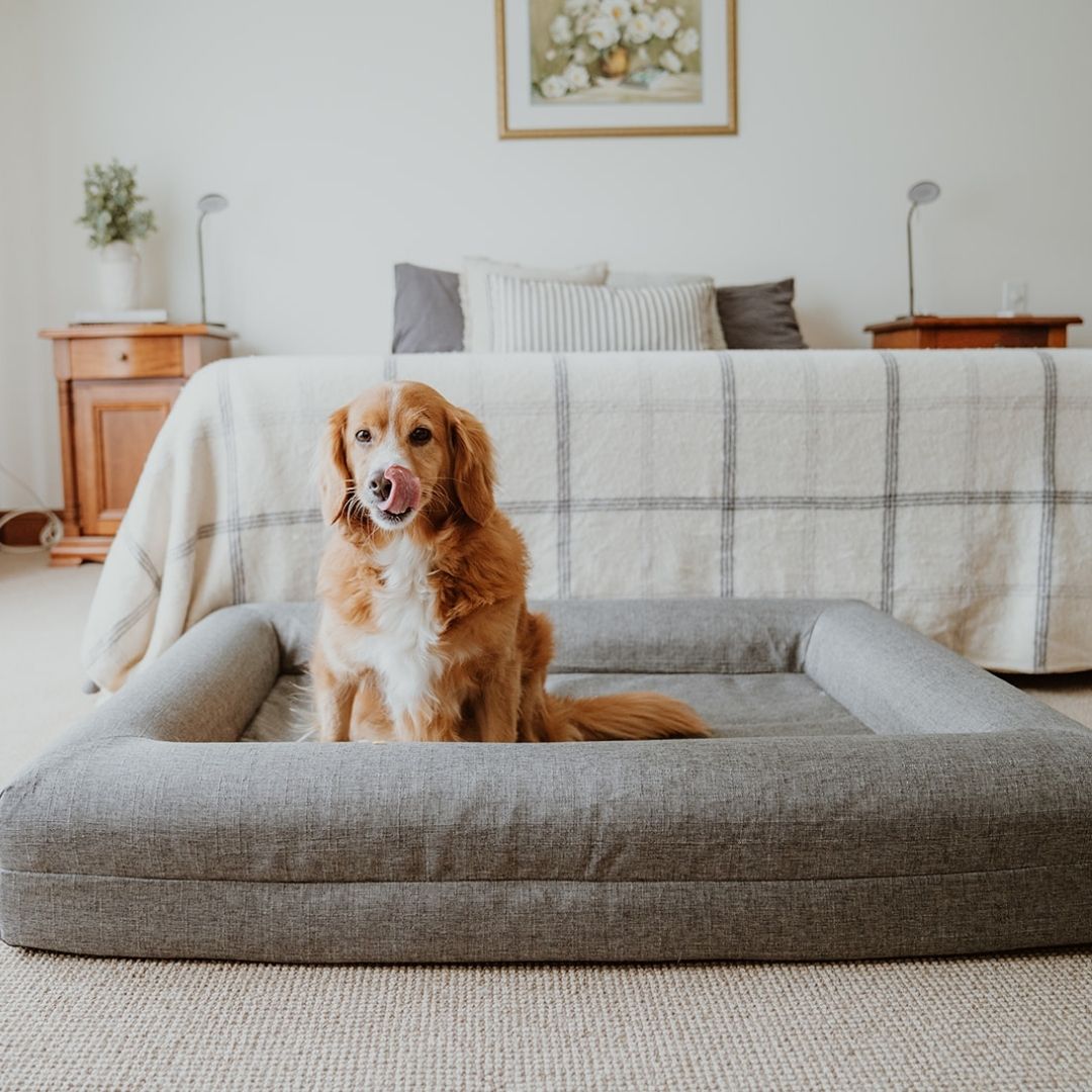 The Coverly Orthopaedic Bed