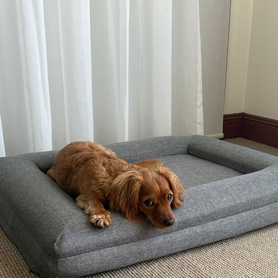 The Coverly Orthopaedic Bed
