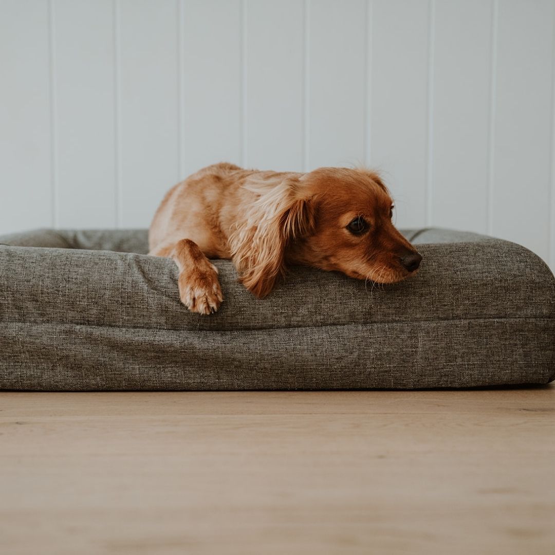The Coverly Orthopaedic Bed