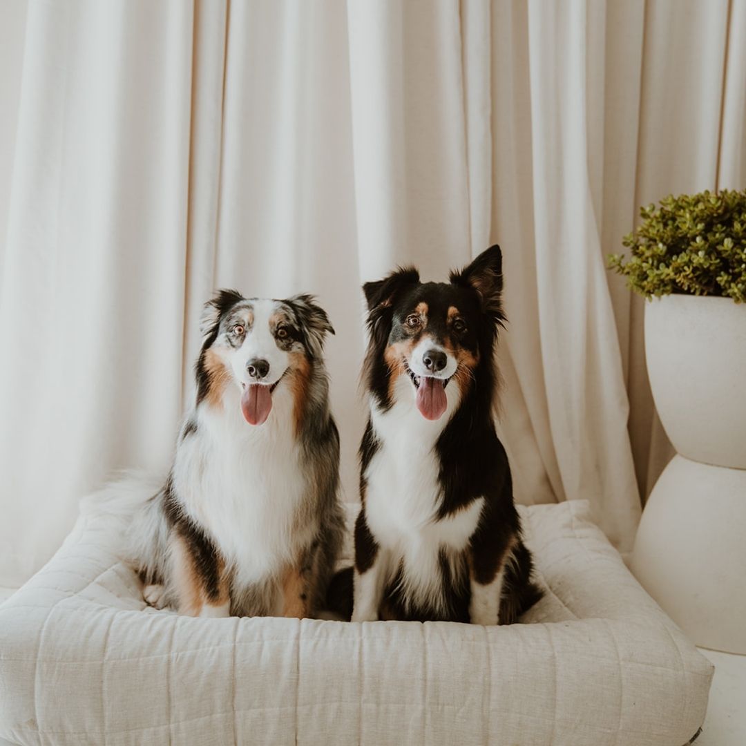 NEW: Maxi Quilted Cover