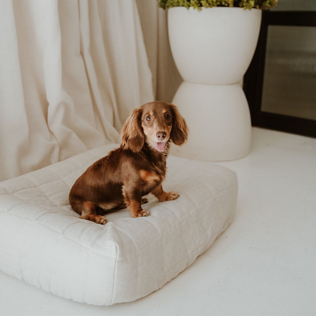 NEW: Maxi Quilted Cover