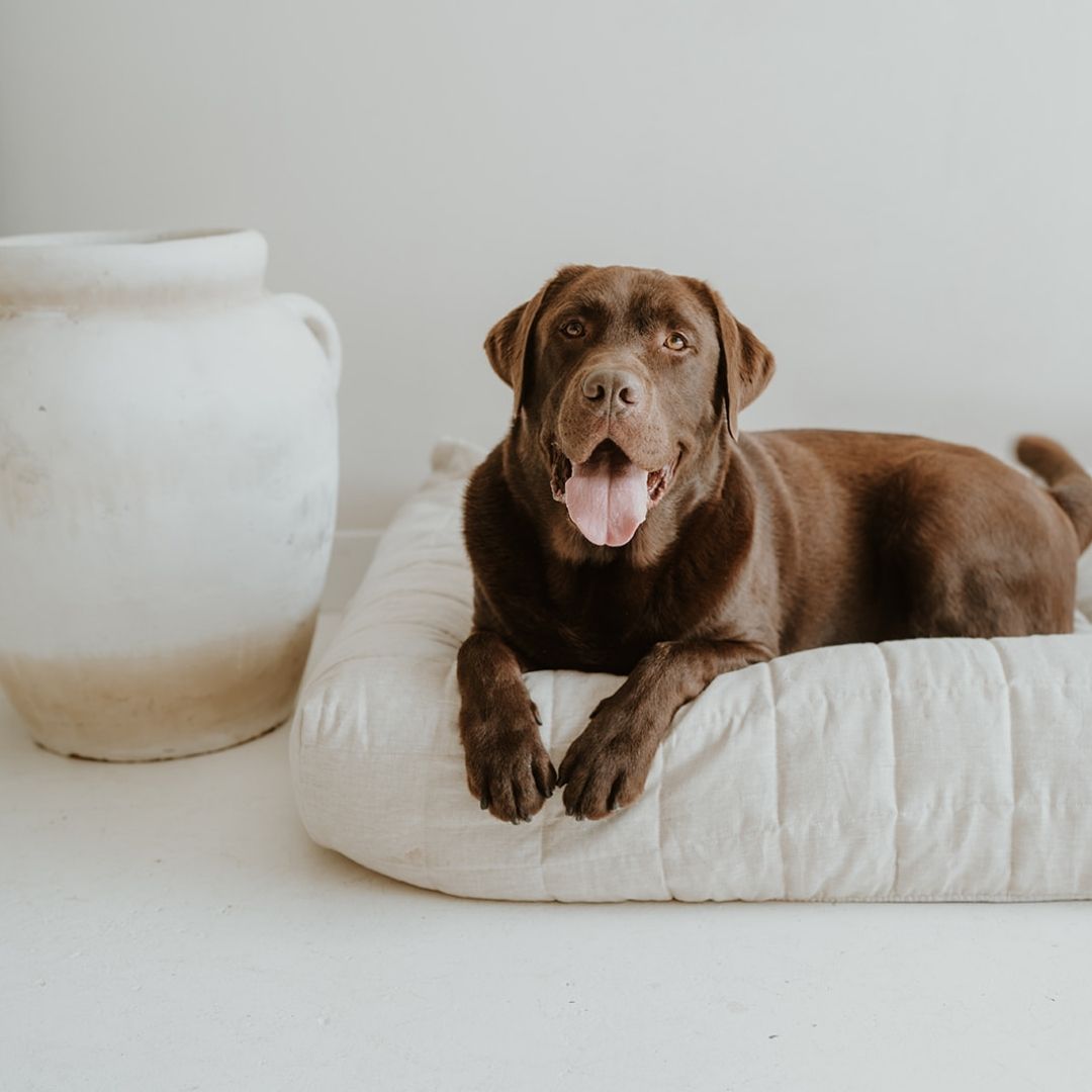 NEW: Maxi Quilted Cover