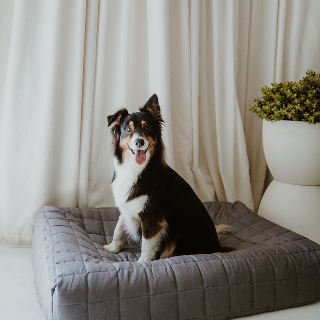 NEW: Maxi Quilted Cover