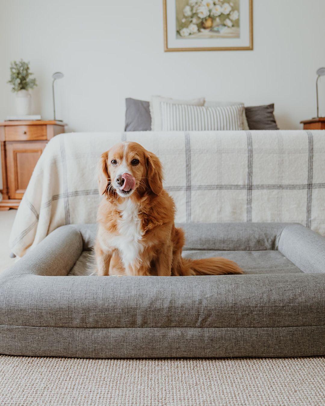 The Coverly Orthopaedic Bed