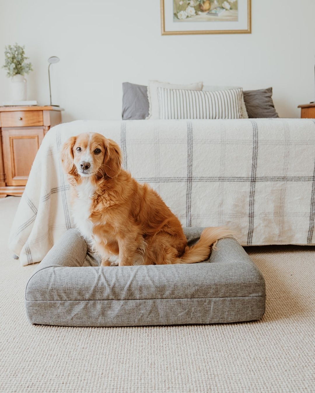 The Coverly Orthopaedic Bed