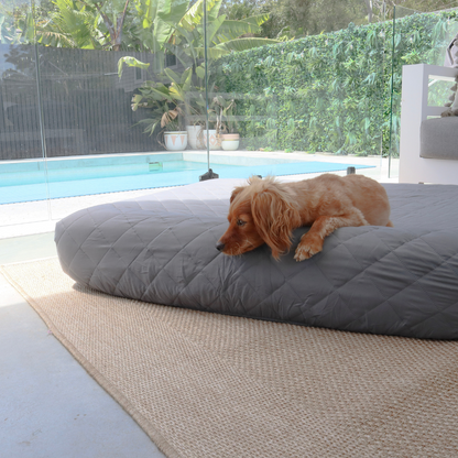 Waterproof dog bed liner