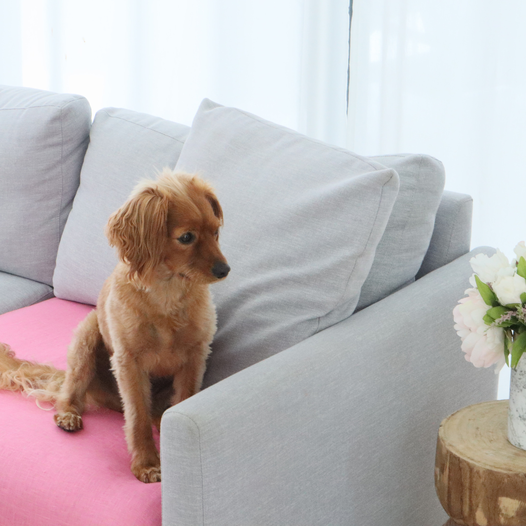 Linen dog bed cover