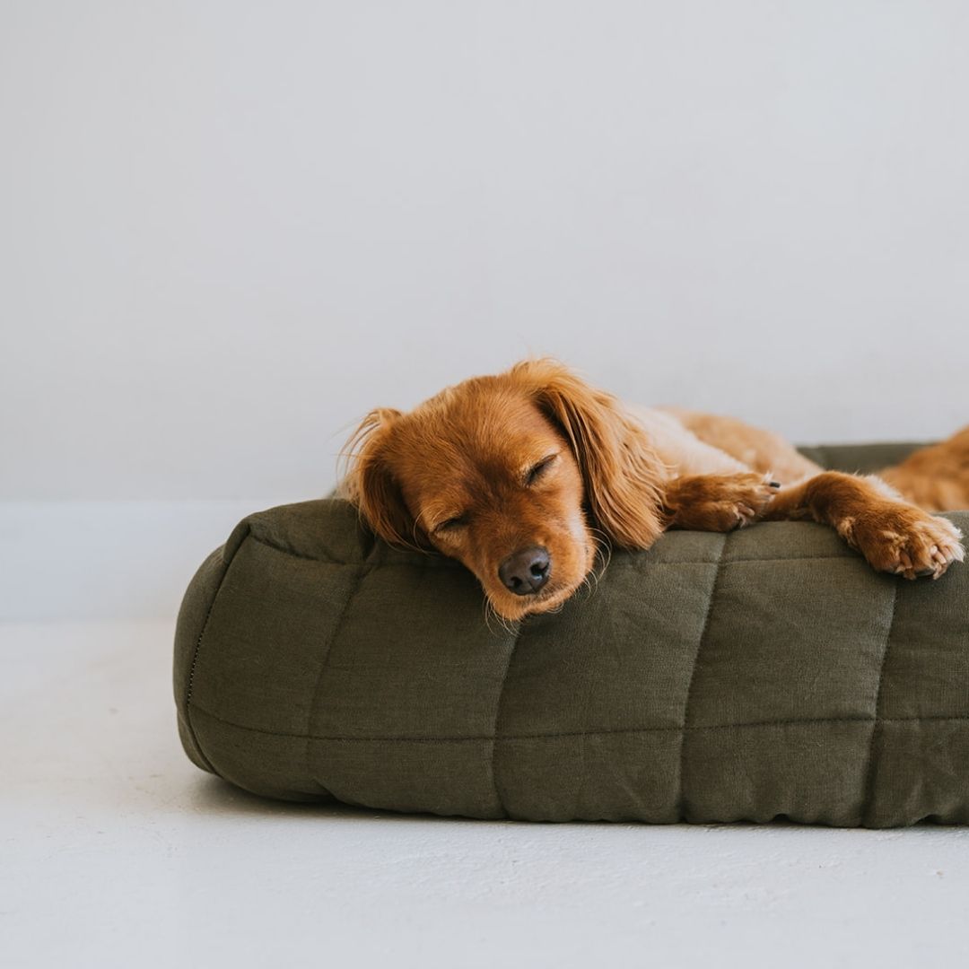 NEW: Maxi Quilted Cover