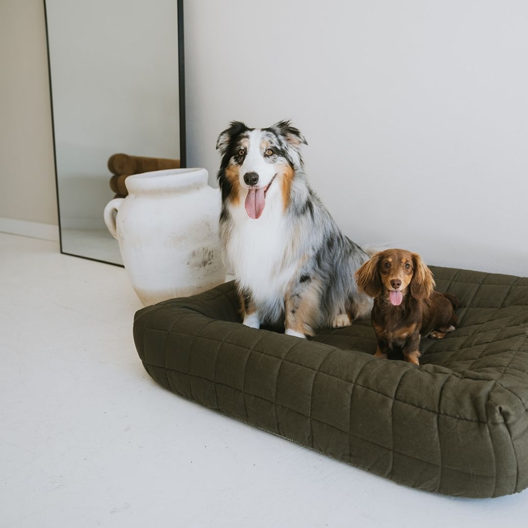 NEW: Maxi Quilted Cover