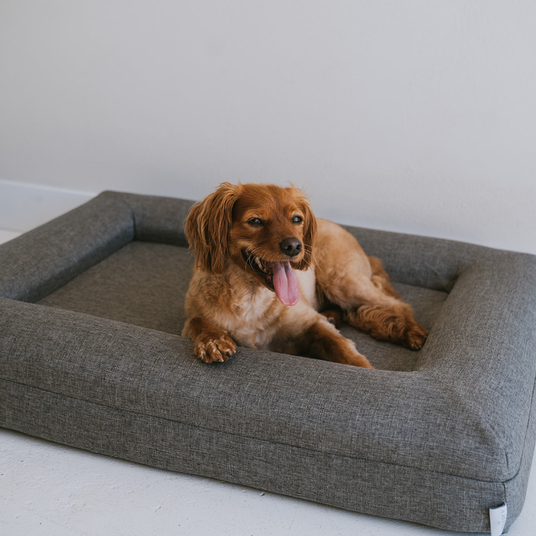 The Coverly Orthopaedic Bed