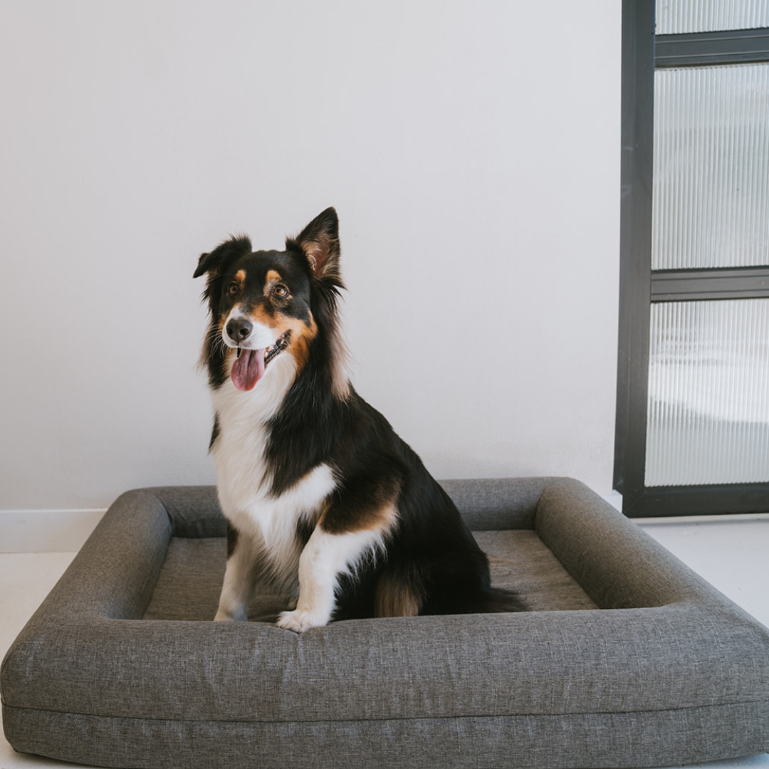 The Coverly Orthopaedic Bed