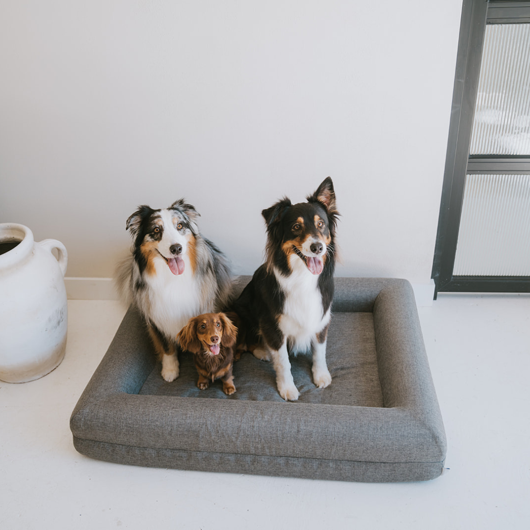 The Coverly Orthopaedic Bed