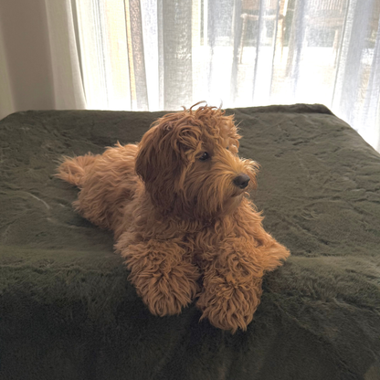 Fur covers