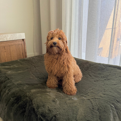 Fur covers