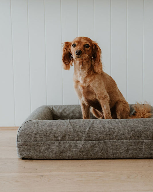 The Coverly Orthopaedic Bed
